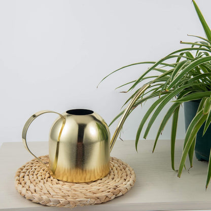 30oz Indoor Plant Watering Can Stainless Steel Long Spout, Rose Gold