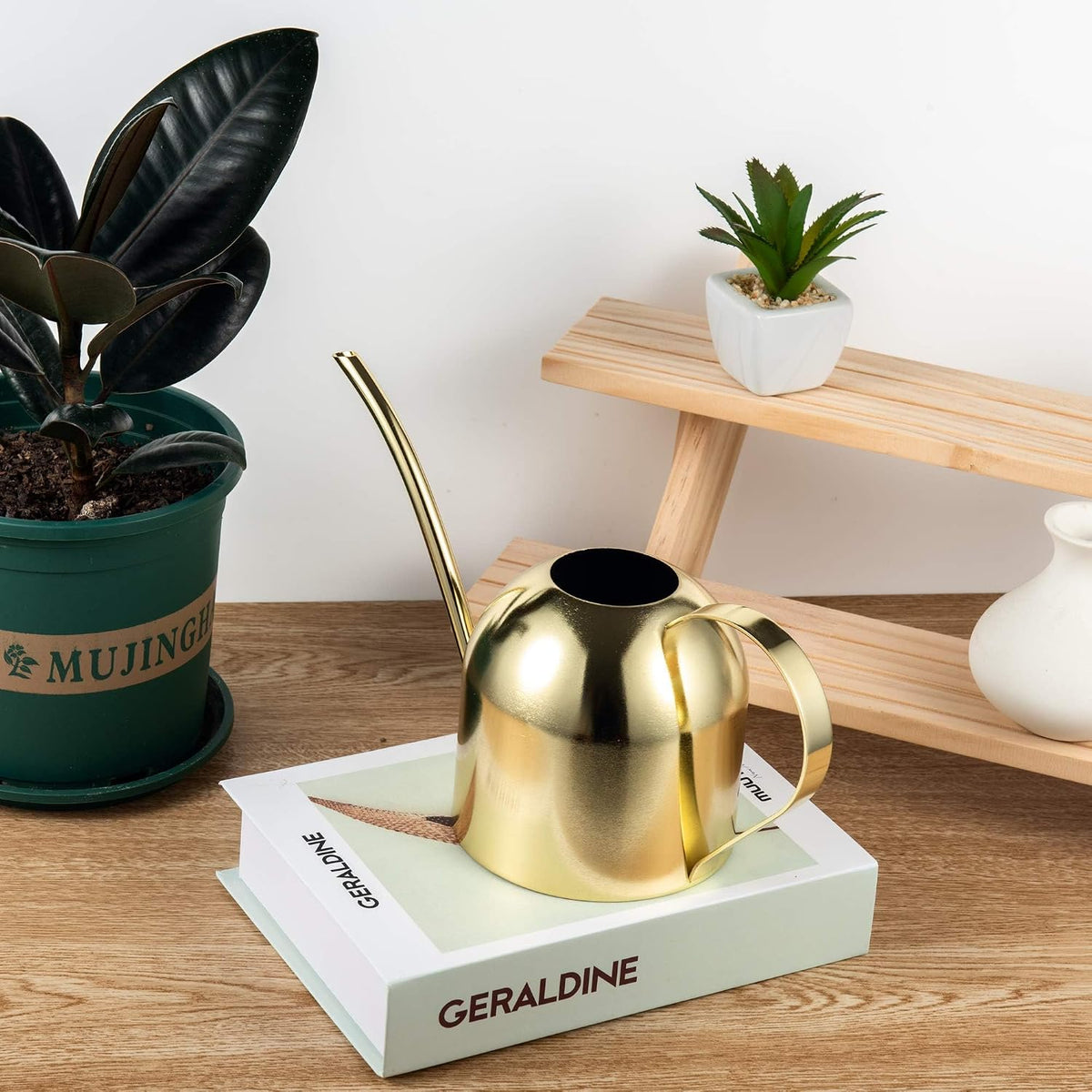 30oz Indoor Plant Watering Can Stainless Steel Long Spout, Rose Gold