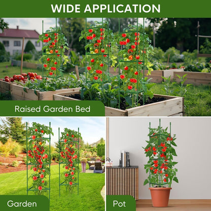 4PCS Tomato Cages for Garden, Tomato Trellis for Raised Garden Bed, 51.2" Tall Cage Plant Support for Pots, Gardening Supplies Trellis for Climbing Plants (4PCS，High: 51.2 Inch)