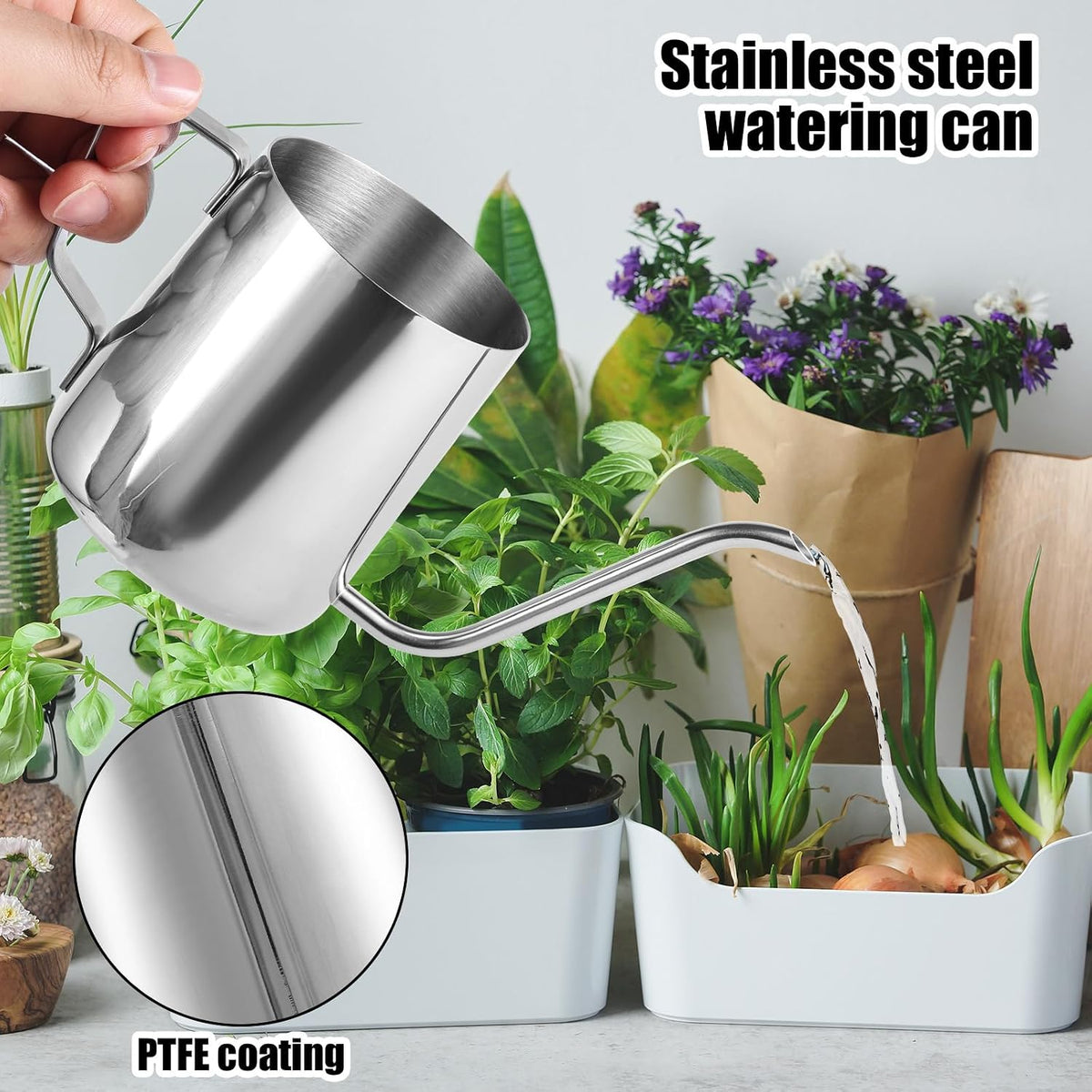 Small Plant Watering Can, 20oz Mini Stainless Steel Watering Pot with Long Curved Spout for House Plants Bonsai Succulents Flowers Garden Accessories (Steel Color)