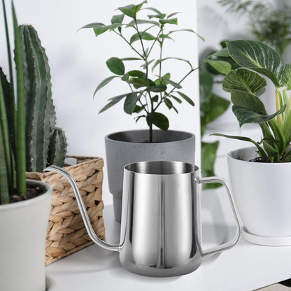 Small Plant Watering Can, 20oz Mini Stainless Steel Watering Pot with Long Curved Spout for House Plants Bonsai Succulents Flowers Garden Accessories (Steel Color)