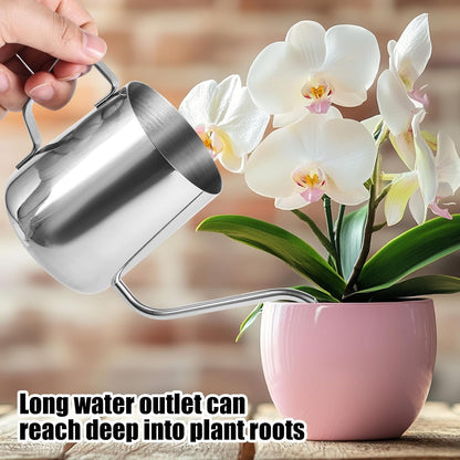 Small Plant Watering Can, 20oz Mini Stainless Steel Watering Pot with Long Curved Spout for House Plants Bonsai Succulents Flowers Garden Accessories (Steel Color)