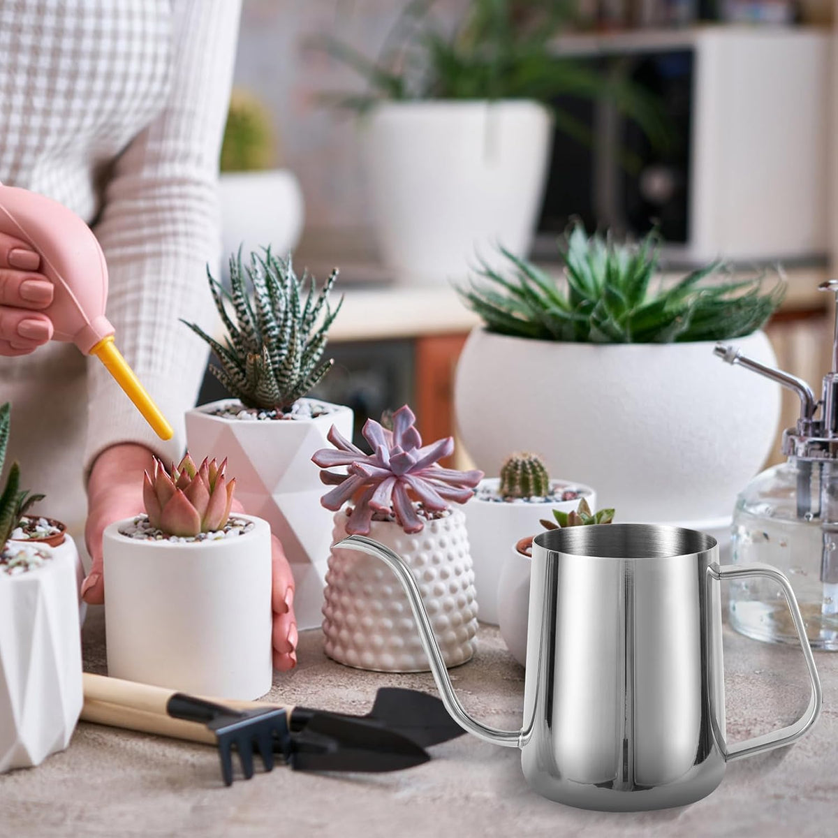 Small Plant Watering Can, 20oz Mini Stainless Steel Watering Pot with Long Curved Spout for House Plants Bonsai Succulents Flowers Garden Accessories (Steel Color)
