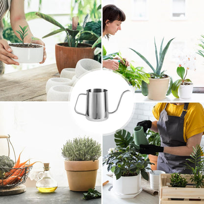 Small Plant Watering Can, 20oz Mini Stainless Steel Watering Pot with Long Curved Spout for House Plants Bonsai Succulents Flowers Garden Accessories (Steel Color)