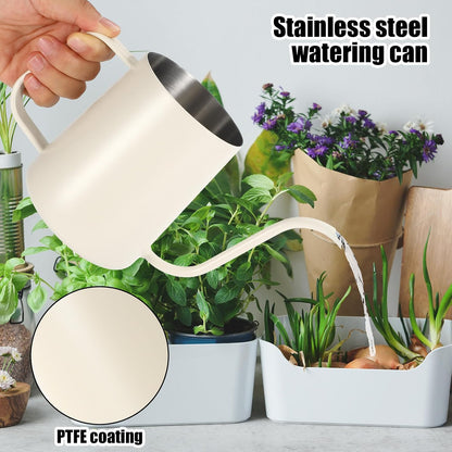 Small Plant Watering Can, 20oz Mini Stainless Steel Watering Pot with Long Curved Spout for House Plants Bonsai Succulents Flowers Garden Accessories (Steel Color)