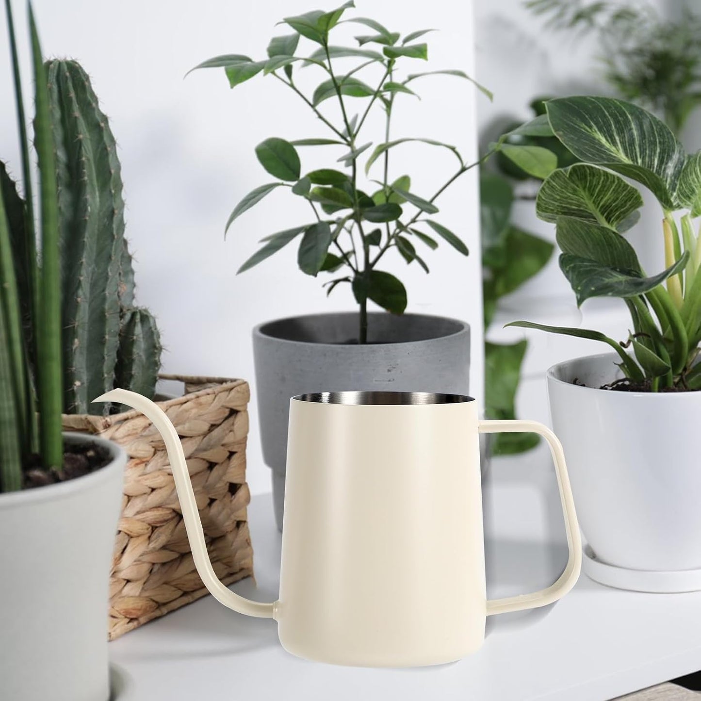 Small Plant Watering Can, 20oz Mini Stainless Steel Watering Pot with Long Curved Spout for House Plants Bonsai Succulents Flowers Garden Accessories (Steel Color)