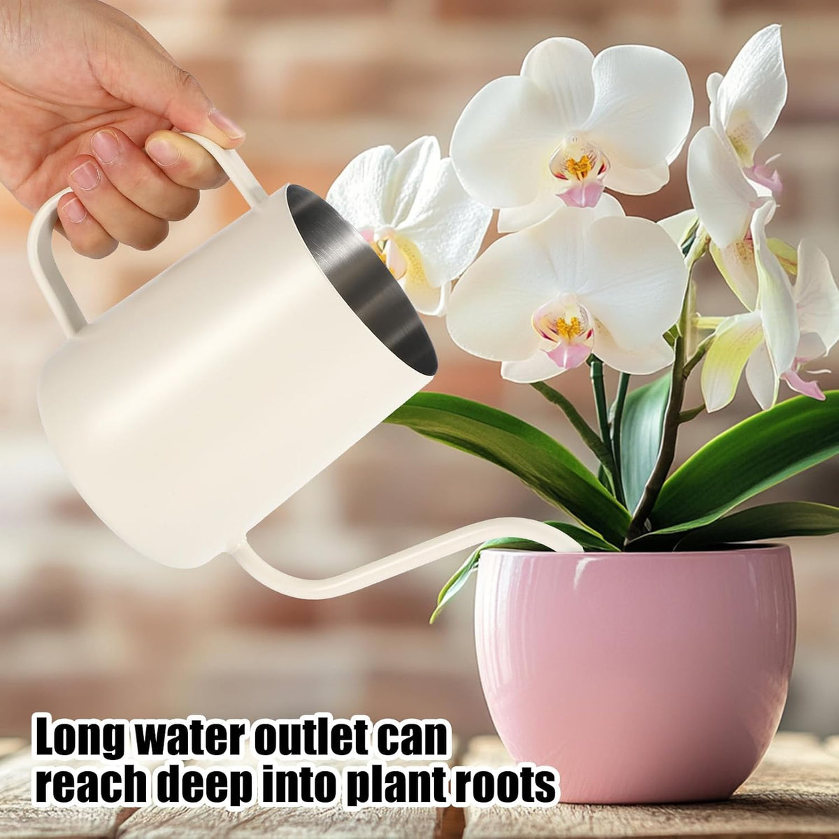 Small Plant Watering Can, 20oz Mini Stainless Steel Watering Pot with Long Curved Spout for House Plants Bonsai Succulents Flowers Garden Accessories (Steel Color)