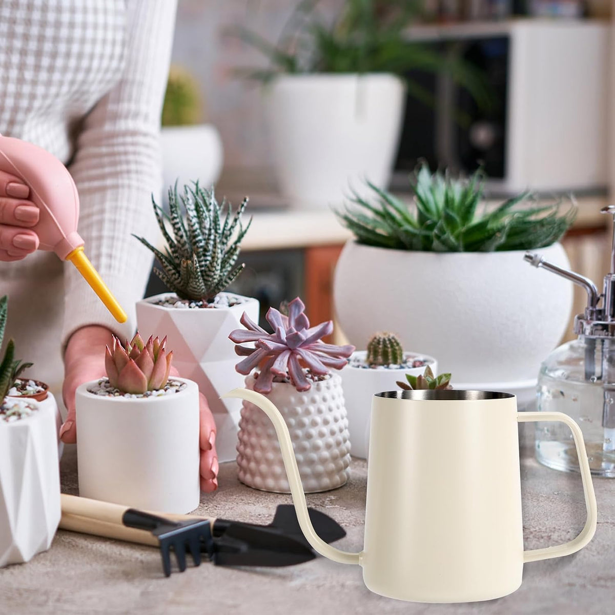 Small Plant Watering Can, 20oz Mini Stainless Steel Watering Pot with Long Curved Spout for House Plants Bonsai Succulents Flowers Garden Accessories (Steel Color)