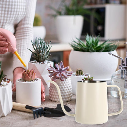Small Plant Watering Can, 20oz Mini Stainless Steel Watering Pot with Long Curved Spout for House Plants Bonsai Succulents Flowers Garden Accessories (Steel Color)
