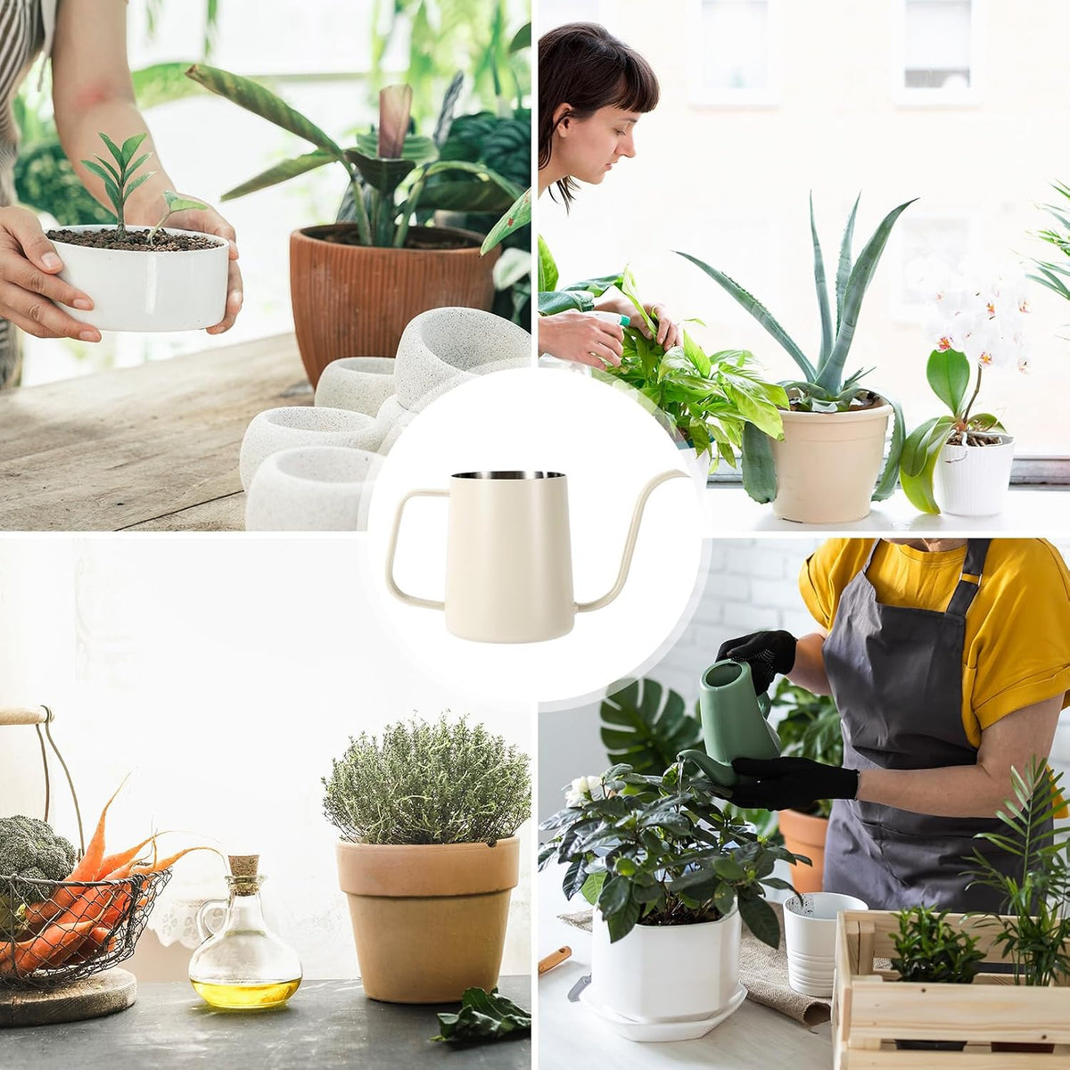 Small Plant Watering Can, 20oz Mini Stainless Steel Watering Pot with Long Curved Spout for House Plants Bonsai Succulents Flowers Garden Accessories (Steel Color)