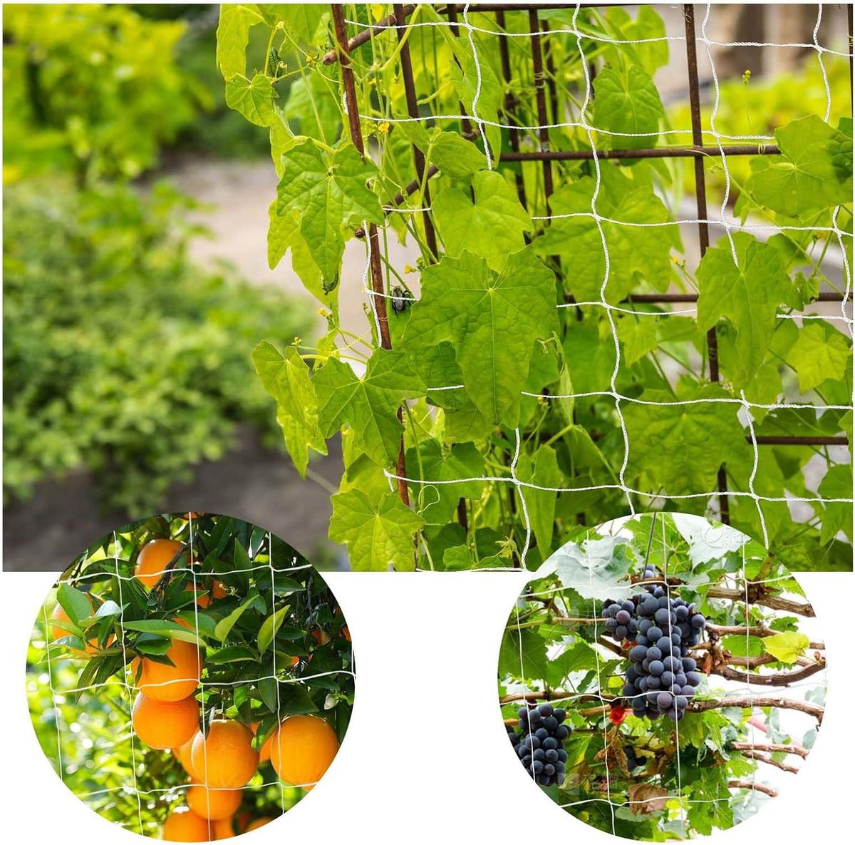 Garden Mesh Netting for Plants, 4 Pack Insect Bird Barrier Netting Mesh with Drawstring, 3.3x4.9 FT Garden Bug Netting Plant Cover for Protect Fruit Tree Vegetable Flowe