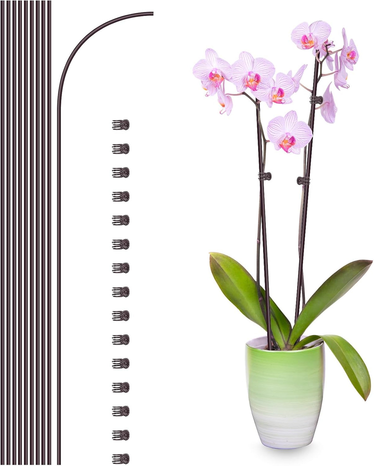 10Pcs Plant Support Stakes with 15Pcs Plant Clips, 16inch Plant Sticks