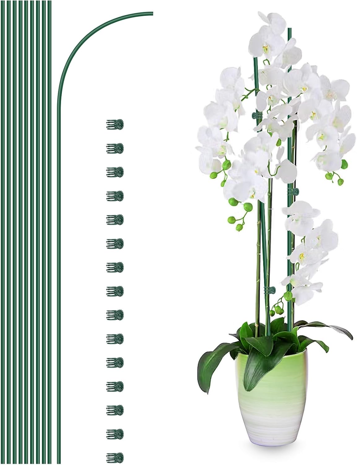 10Pcs Plant Support Stakes with 15Pcs Plant Clips, 16inch Plant Sticks