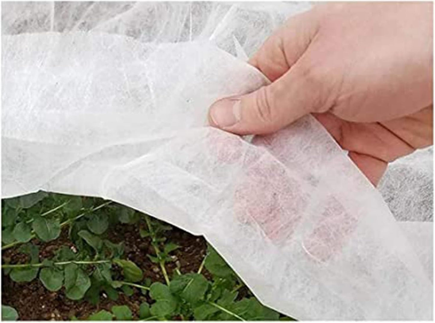 Plant Protection Blanket - Heavy-Duty - 2-Pack 6 x 50 ft - 2.5 oz
