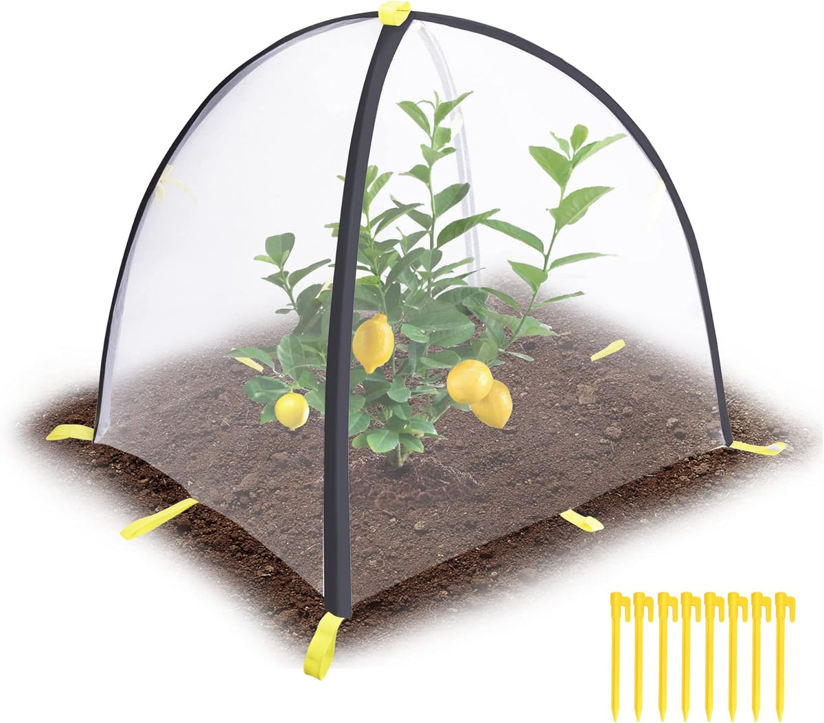 2 PCS Insect Barrier Plant Tent Cover-22 x 22 x 23 Inch Bug Guard Cover with Stakes-Insect Bird Barrier Netting Mesh for Protect Vegetable Plants Fruits Flowers from Birds Animal Eating