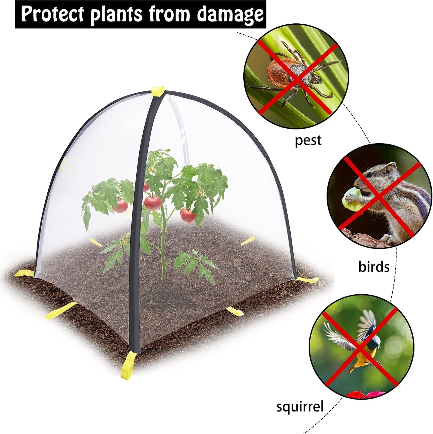 2 PCS Insect Barrier Plant Tent Cover-22 x 22 x 23 Inch Bug Guard Cover with Stakes-Insect Bird Barrier Netting Mesh for Protect Vegetable Plants Fruits Flowers from Birds Animal Eating