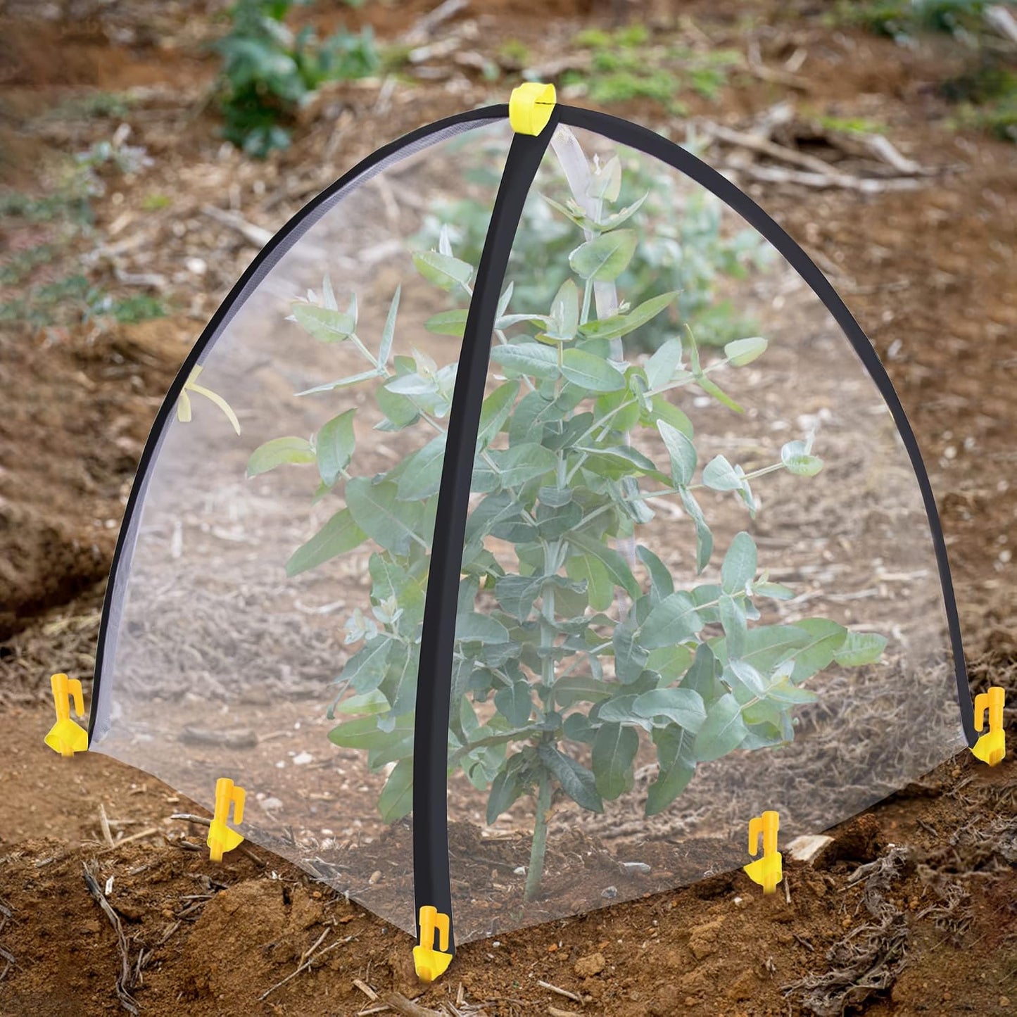 2 PCS Insect Barrier Plant Tent Cover-22 x 22 x 23 Inch Bug Guard Cover with Stakes-Insect Bird Barrier Netting Mesh for Protect Vegetable Plants Fruits Flowers from Birds Animal Eating