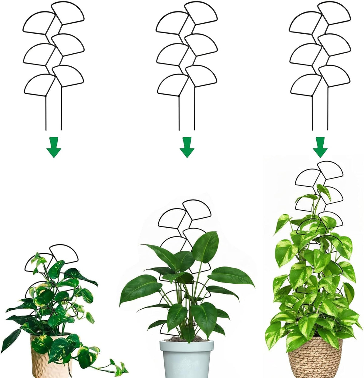 Plant Trellis for Climbing Plants Indoor Outdoor, 3 Pack Stackable Metal Trellis - Small Garden Trellis for Potted Plants, Vine Support for Ivy, Flowers, DIY Home Deco