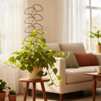 Plant Trellis for Climbing Plants Indoor Outdoor, 3 Pack Stackable Metal Trellis - Small Garden Trellis for Potted Plants, Vine Support for Ivy, Flowers, DIY Home Deco