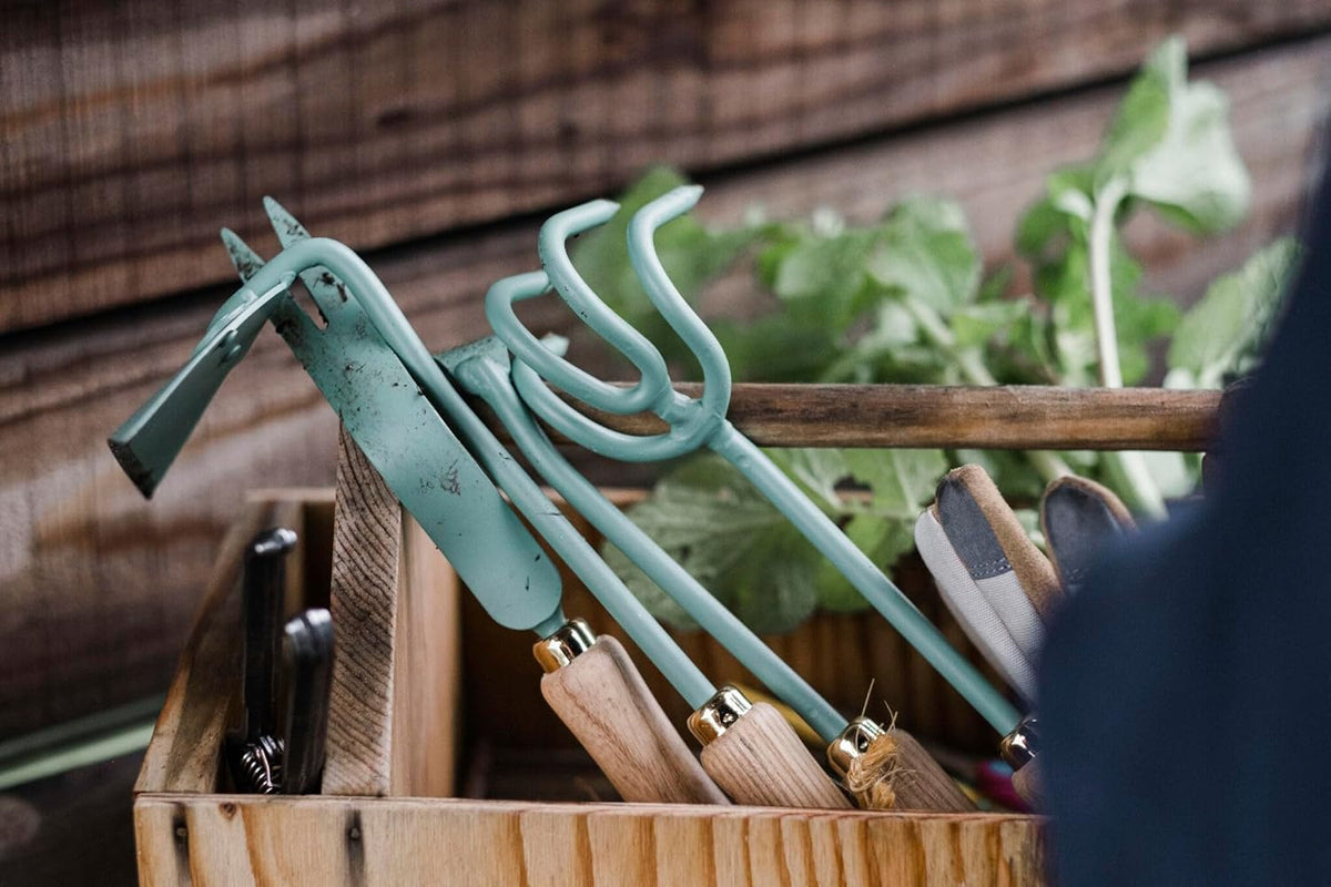 Cultivator - Weed Remover Tool - Garden Rake and Weeding Tool for Yard Work - Stainless Steel Cultivator for Raking Soil (Ash/Mint)