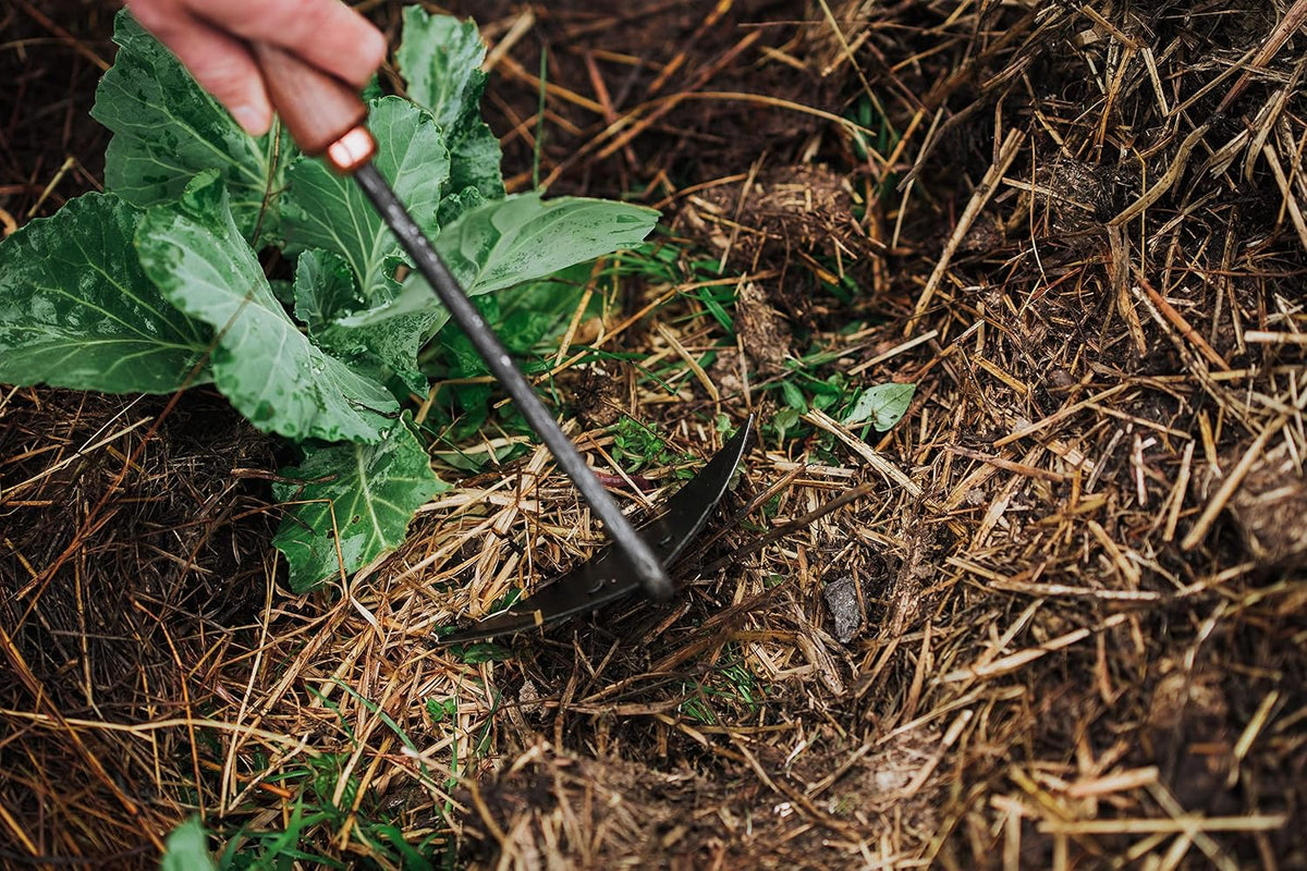Cultivator - Weed Remover Tool - Garden Rake and Weeding Tool for Yard Work - Stainless Steel Cultivator for Raking Soil (Ash/Mint)