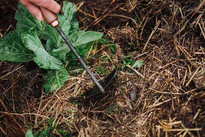 Cultivator - Weed Remover Tool - Garden Rake and Weeding Tool for Yard Work - Stainless Steel Cultivator for Raking Soil (Ash/Mint)
