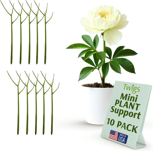 Twigs GA Mini Plant Support Stakes, Peony Light Green, 10-Pack, 12" L
