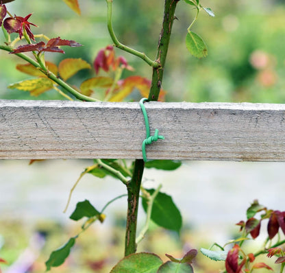 Green Soft Twist Tie Plant Tie Flexible TPR Garden Supply, for Tomatoes Roses Vines Organizing(16.4 feet/ 5 Meters)…, 16 feet