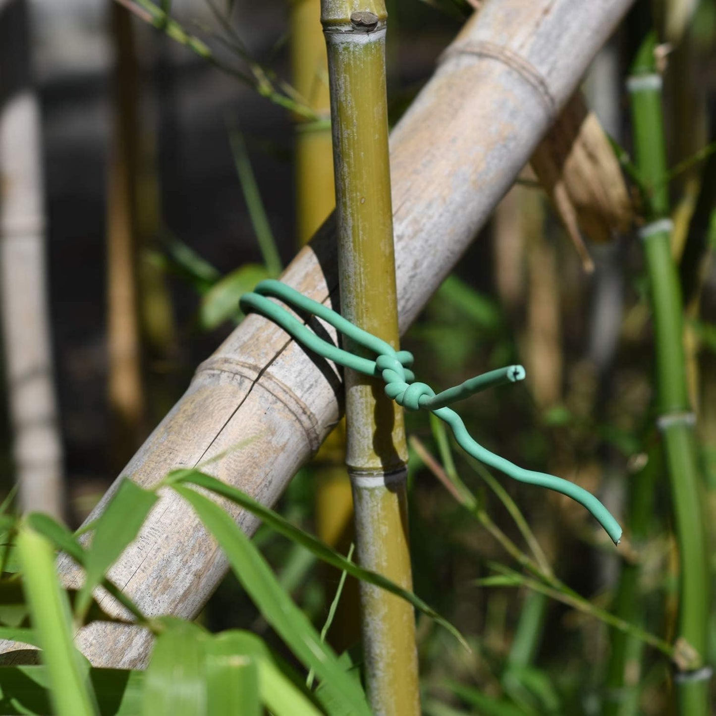 Green Soft Twist Tie Plant Tie Flexible TPR Garden Supply, for Tomatoes Roses Vines Organizing(16.4 feet/ 5 Meters)…, 16 feet