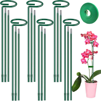 Plant Support Stakes 6 Pack, 12/24/36 Inch Heavy Duty Metal Plant Stakes, Adjustable Garden Plant Support Cages/Rings for Outdoor Indoor Plants, Plant Stick Support for Amaryllis Tomato Peony Orchid