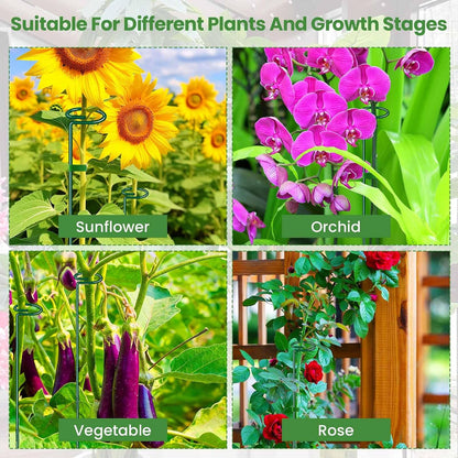 Plant Support Stakes 6 Pack, 12/24/36 Inch Heavy Duty Metal Plant Stakes, Adjustable Garden Plant Support Cages/Rings for Outdoor Indoor Plants, Plant Stick Support for Amaryllis Tomato Peony Orchid