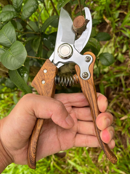 Pruning shears for gardening, Floral cutter, German Stainless Steel Blades, 1 inch Cut Capacity, Garden Snips for flowers with Non-Slip Handle, Lightweight & Ergonomic Professional