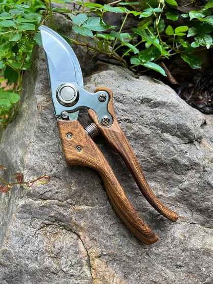 Pruning shears for gardening, Floral cutter, German Stainless Steel Blades, 1 inch Cut Capacity, Garden Snips for flowers with Non-Slip Handle, Lightweight & Ergonomic Professional