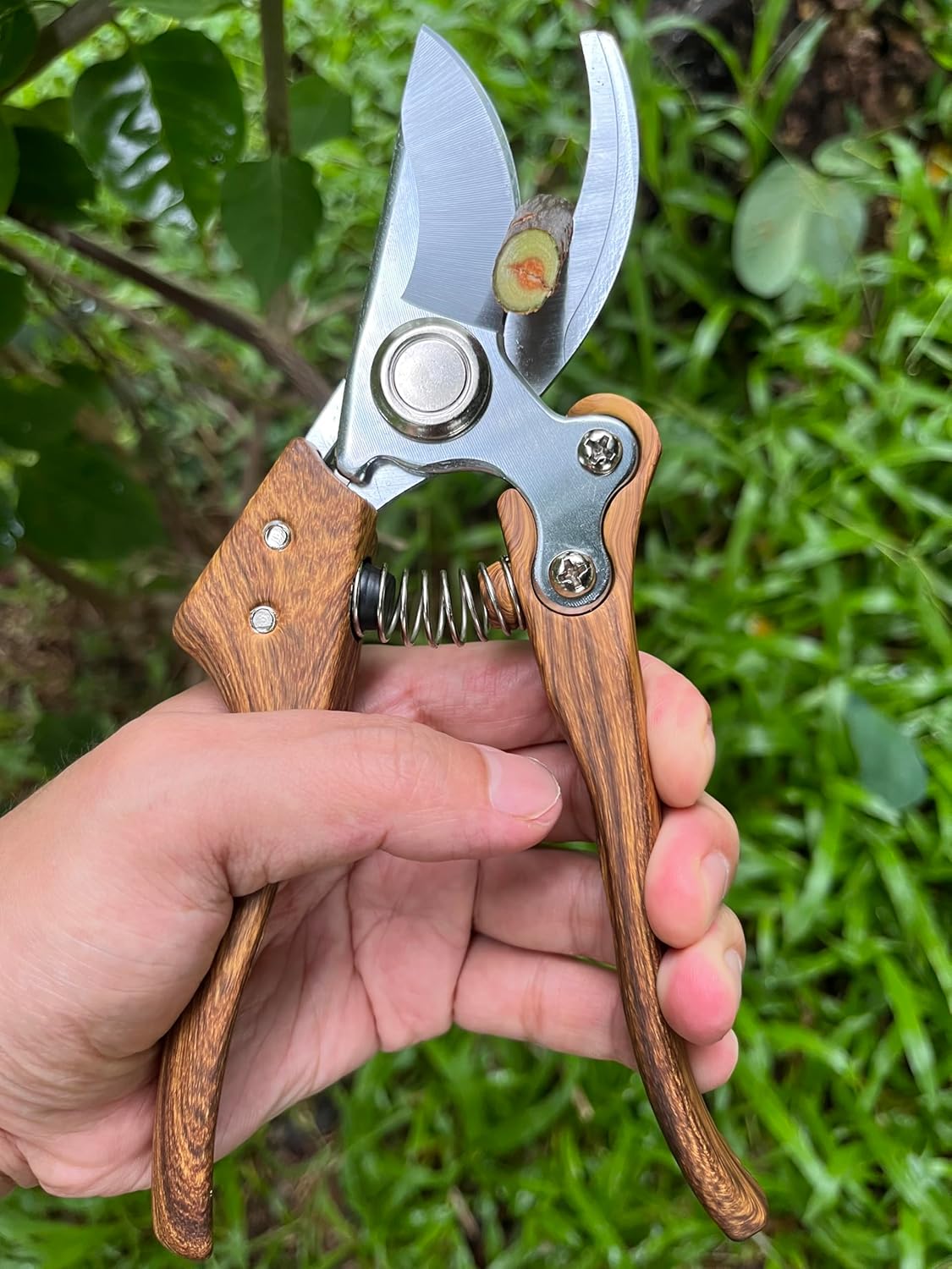 Pruning shears for gardening, Floral cutter, German Stainless Steel Blades, 1 inch Cut Capacity, Garden Snips for flowers with Non-Slip Handle, Lightweight & Ergonomic Professional