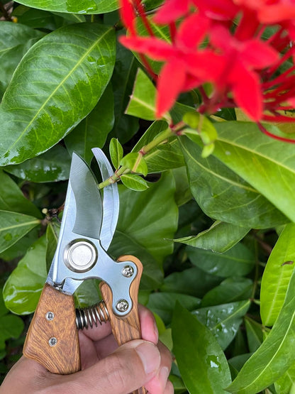 Pruning shears for gardening, Floral cutter, German Stainless Steel Blades, 1 inch Cut Capacity, Garden Snips for flowers with Non-Slip Handle, Lightweight & Ergonomic Professional