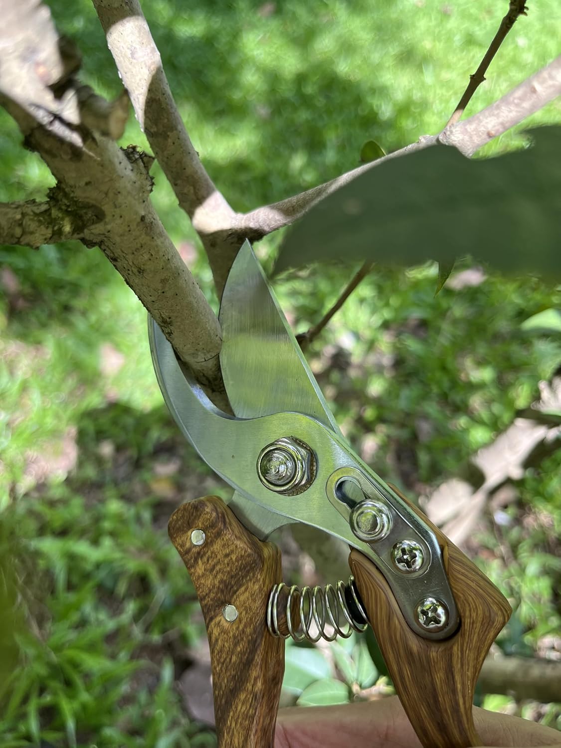 Pruning shears for gardening, Floral cutter, German Stainless Steel Blades, 1 inch Cut Capacity, Garden Snips for flowers with Non-Slip Handle, Lightweight & Ergonomic Professional