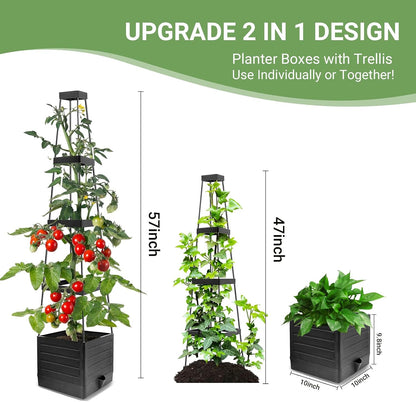 2 Pack Tomato Planter with Trellis 57 Inch Self Watering Pots Cage Boxes