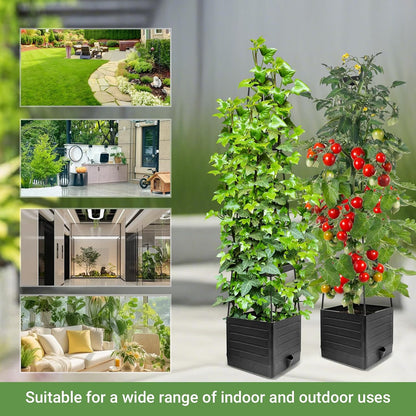 2 Pack Tomato Planter with Trellis 57 Inch Self Watering Pots Cage Boxes