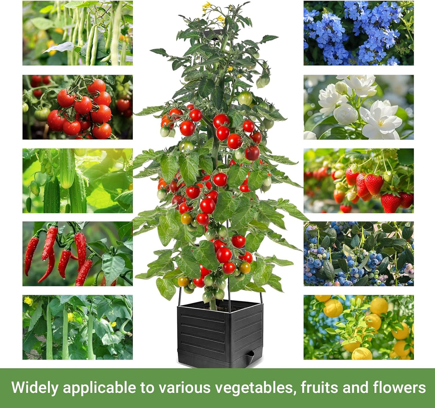 2 Pack Tomato Planter with Trellis 57 Inch Self Watering Pots Cage Boxes