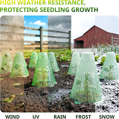 Pack 20 Garden Cloches for Plants, Reusable Bell Plant Cover with Metal Stakes, Plant Protection Cloches for Potted Plants/Seedlings,Protect Plants from Sun,Birds, Frost
