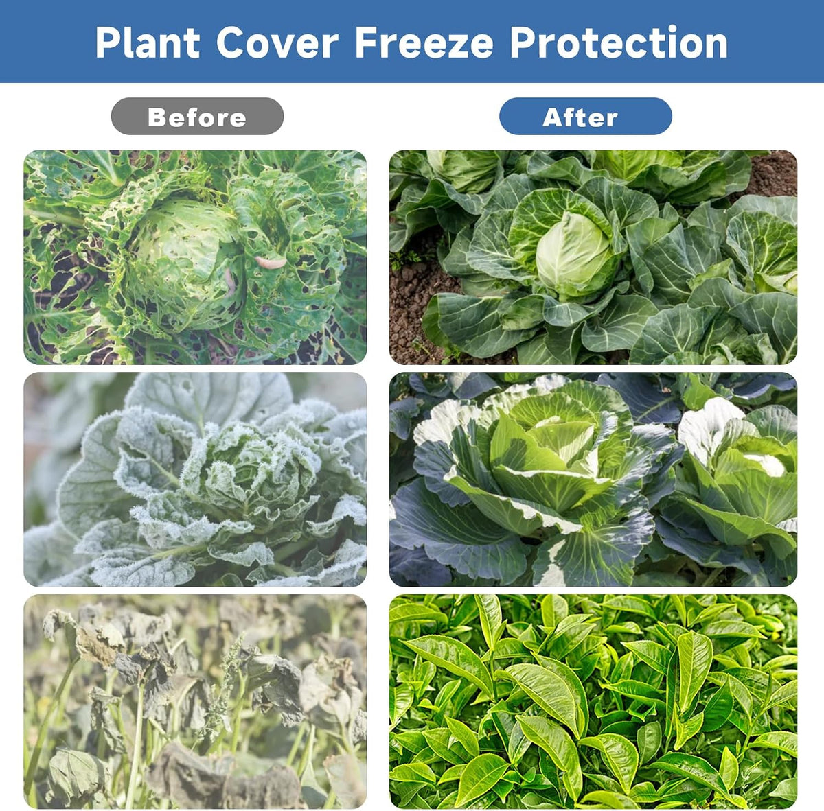 Plant Covers Freeze Protection,10 ft x 30 ft 1.1oz/yd² Thicker Floating Row Blanket Cover Fabric Plant Cloth for Winter Frost Snow and Garden Protection