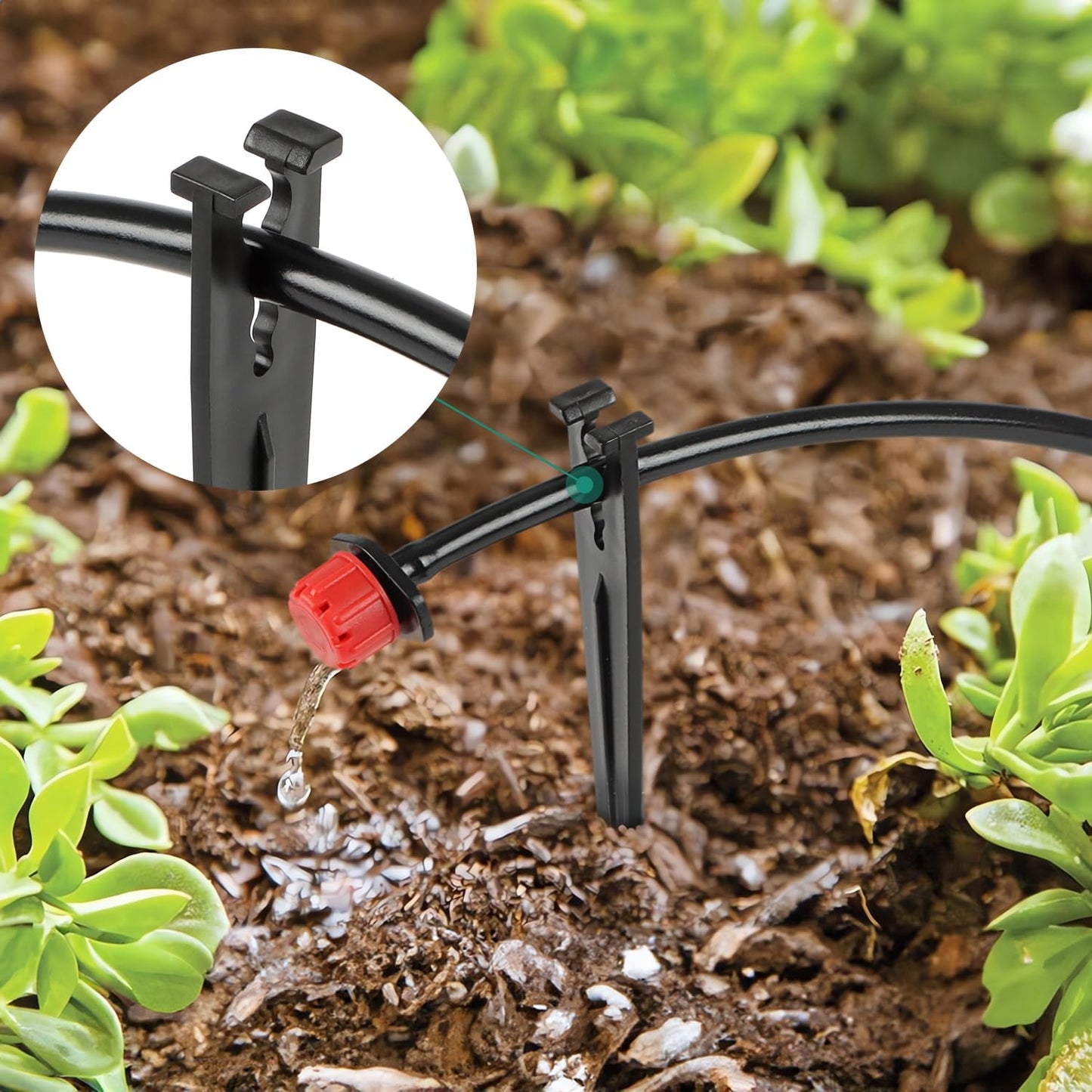 50 Pack 1/2 Inch Irrigation Tubing Hold Down Anchor Stakes, Heavy Duty Drip Tubing Stakes 1/2" Drip Irrigation Tubing Fittings for Lawn Raised Bed Greenhouse Plant Watering System