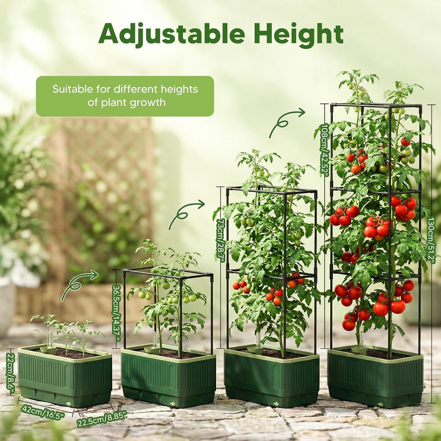 Raised Garden Bed with Tomato Cages，52"/4.3ft Tomato Planter with Trellis,Adjustable Height,Self Watering Planter Box for Vegetables & Climbing Plant Indoor Outdoor Balcony Patio (1)