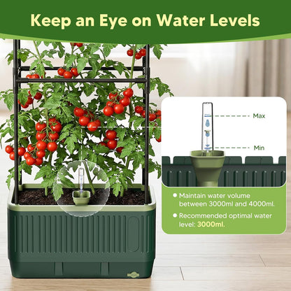 Raised Garden Bed with Tomato Cages，52"/4.3ft Tomato Planter with Trellis,Adjustable Height,Self Watering Planter Box for Vegetables & Climbing Plant Indoor Outdoor Balcony Patio (1)