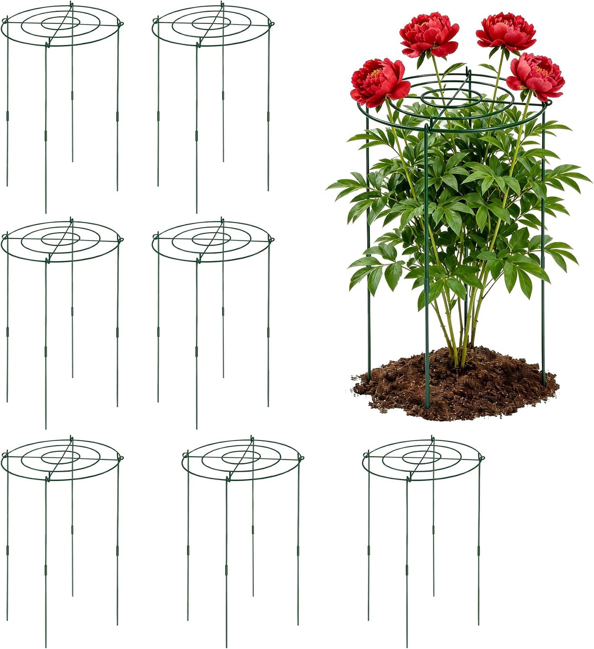 8 Pack 11.5" Dx24 H Pack Peony Cages Set Higher Peony Cages and Supports Heavy Duty Metal Plants Support Cage for Outdoor Green Support Rings for Flower Strawberry Tomato Hydrangeas