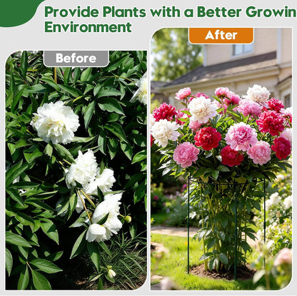 8 Pack 11.5" Dx24 H Pack Peony Cages Set Higher Peony Cages and Supports Heavy Duty Metal Plants Support Cage for Outdoor Green Support Rings for Flower Strawberry Tomato Hydrangeas