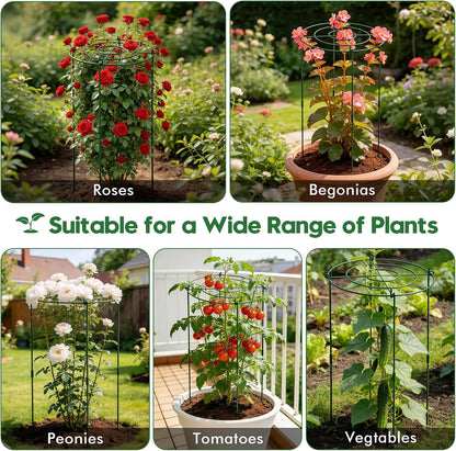 8 Pack 11.5" Dx24 H Pack Peony Cages Set Higher Peony Cages and Supports Heavy Duty Metal Plants Support Cage for Outdoor Green Support Rings for Flower Strawberry Tomato Hydrangeas