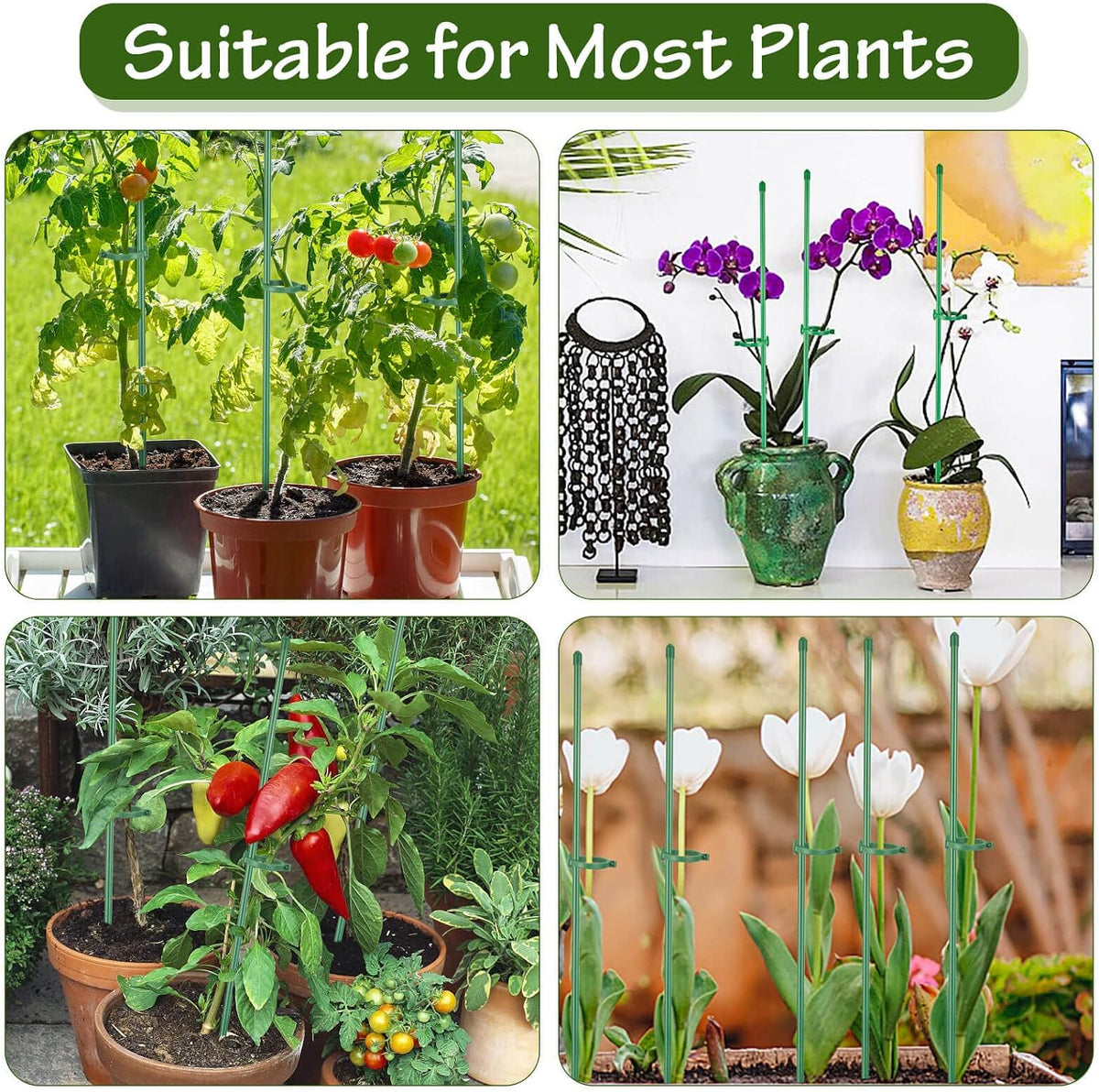 76pcs Plant Stakes for Indoor Plants, 25 Pack 16 inch Plant Support Stakes