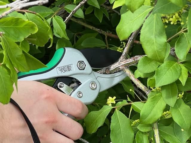 Bypass Pruning Shears 2 in 1 Multi-Cutter, Unique Lock Allows Switching Between Pruner and Shear Snipping. 1/2 Inch Cutting Capacity. Garden Clippers, Pruners for Gardening Heavy Duty