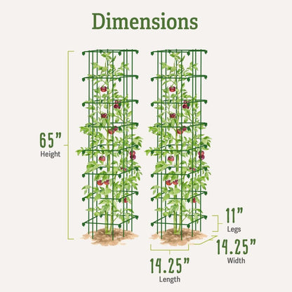 Extra Tall Heavy-Guage Square Tomato Cages | Easy Fold Plant Supports & Vegetable Garden Stakes | 14.25" x 14.25" x 65" - Green (Set of 2)